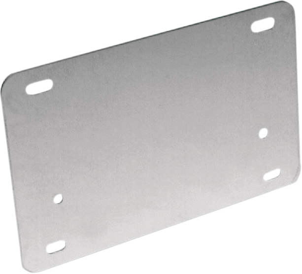 License Backing Plate - Stainless Steel