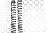 Fork Springs - 1.20 kg/mm 2002 - 2006