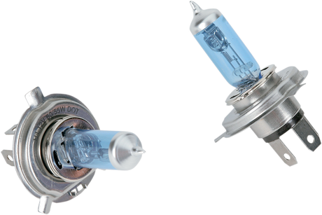 Bulb - P43T Blue - 55/60 W - Pair