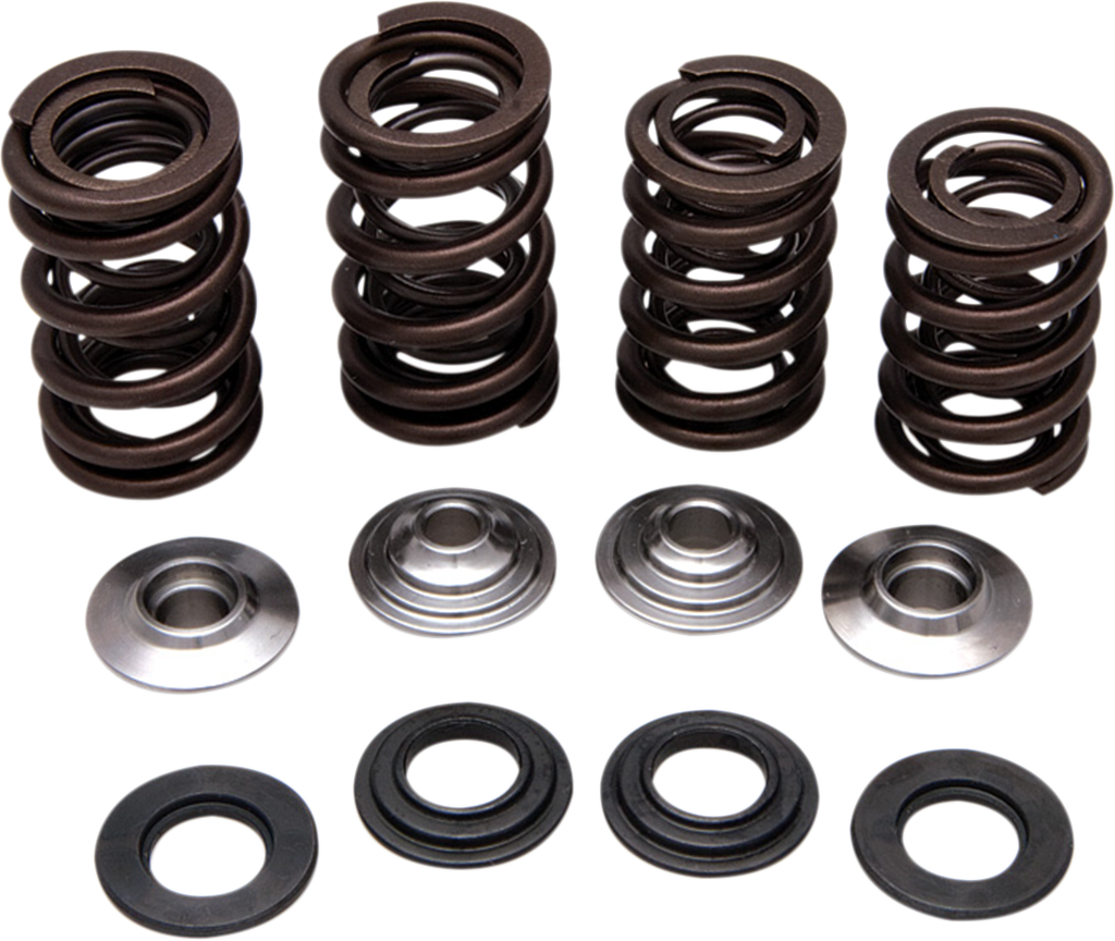 Valve Spring Kit 2006 - 2009