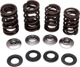 Valve Spring Kit 2006 - 2009