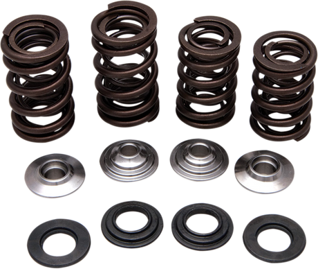 Valve Spring Kit 2006 - 2009