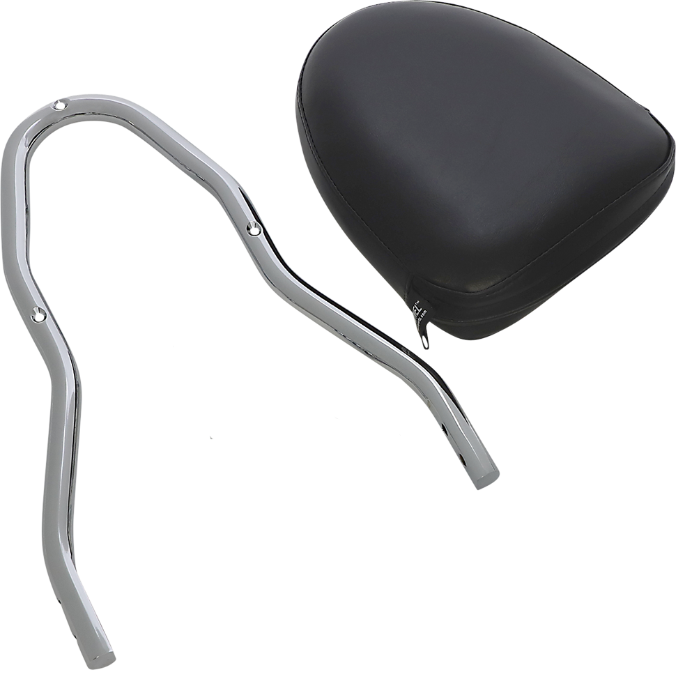 Sissy Bar Kit 2001 - 2023