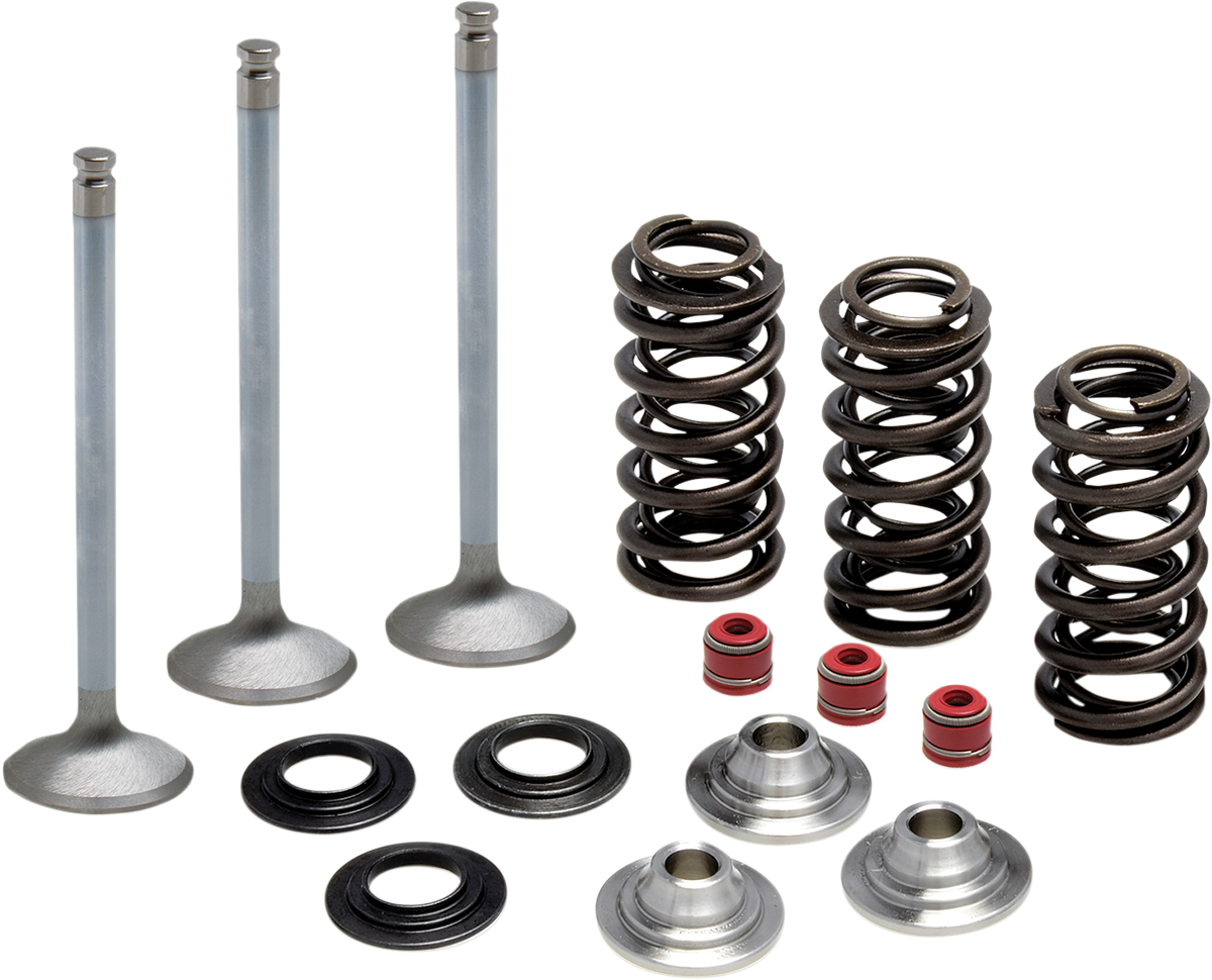 Valve Spring Kit 2003 - 2020