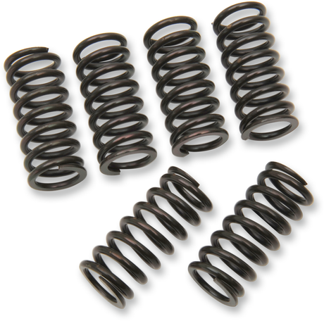 Clutch Springs 1983 - 2011