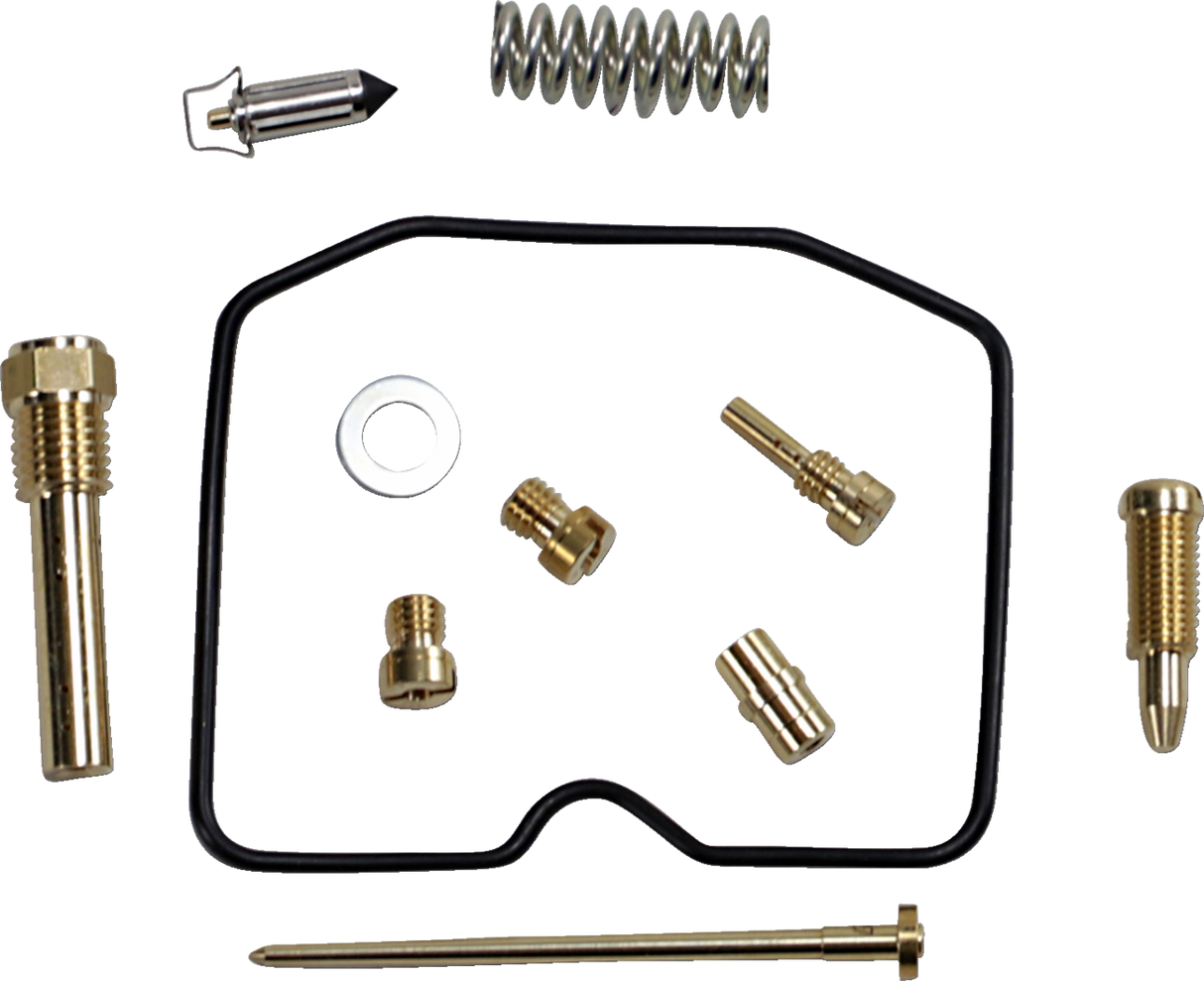 Carburetor Repair Kit - Arctic Cat 2009 - 2015