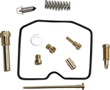 Carburetor Repair Kit - Arctic Cat 2009 - 2015