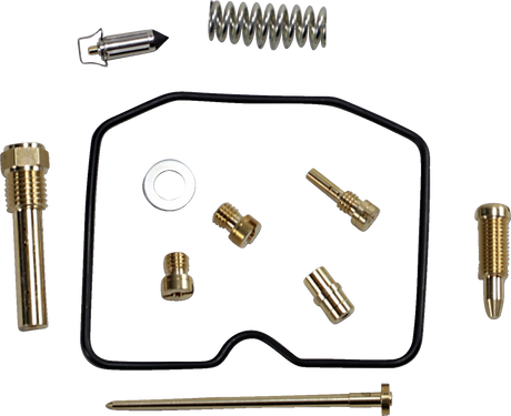 Carburetor Repair Kit - Arctic Cat 2009 - 2015