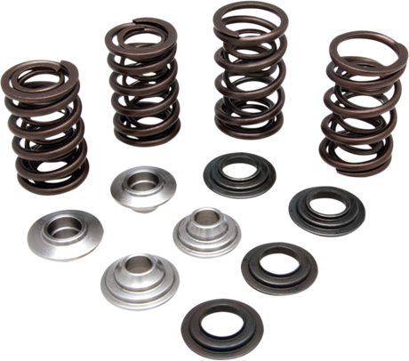 Valve Spring Kit 2006 - 2009