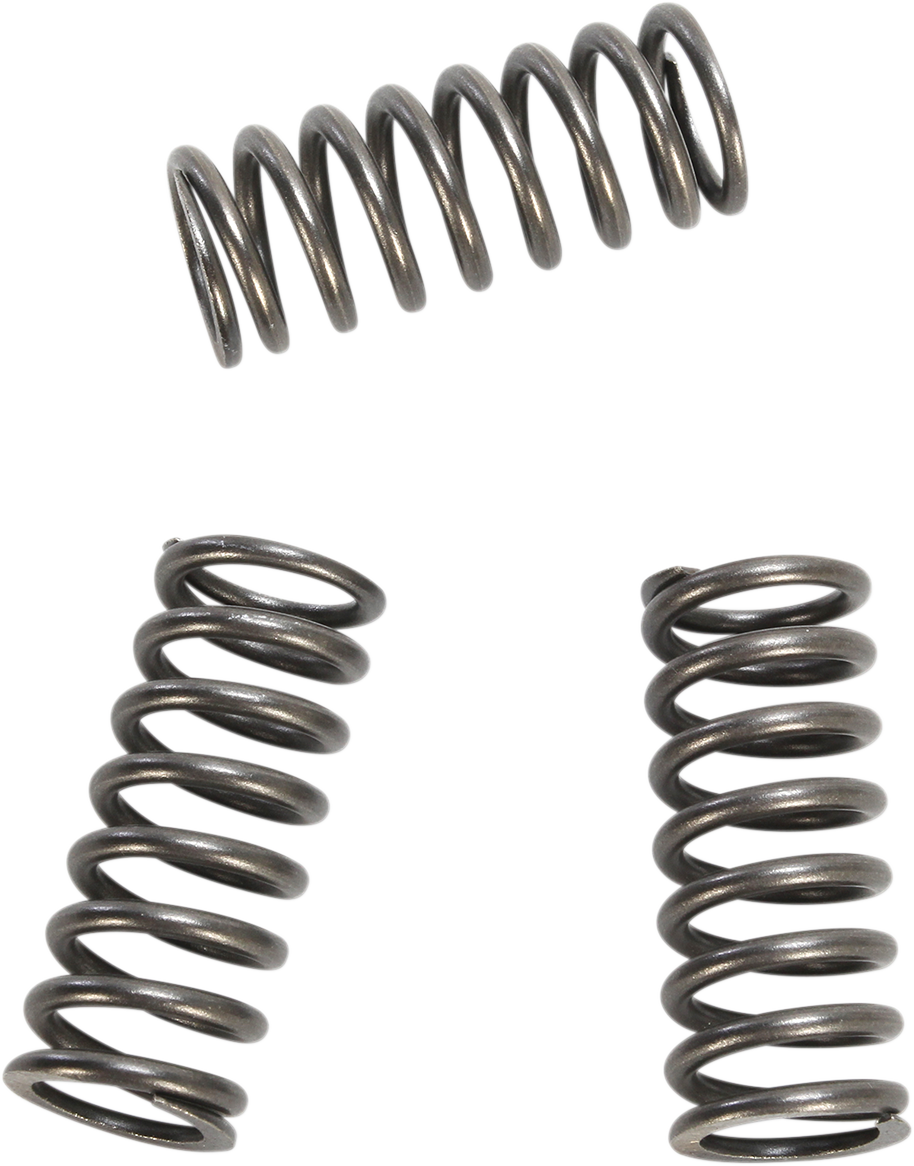 Clutch Springs 2015 - 2021