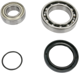 Chain Case Bearing and Seal Kit 2006 - 2010