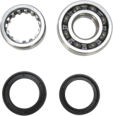 Crank Bearing and Seal Kit - Honda 2004 - 2006