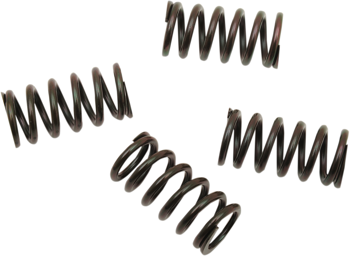 Clutch Spring Set 1985 - 2022