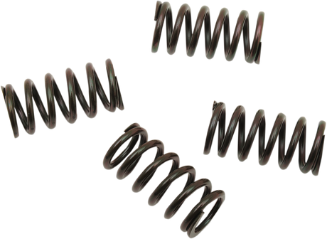 Clutch Spring Set 1985 - 2022