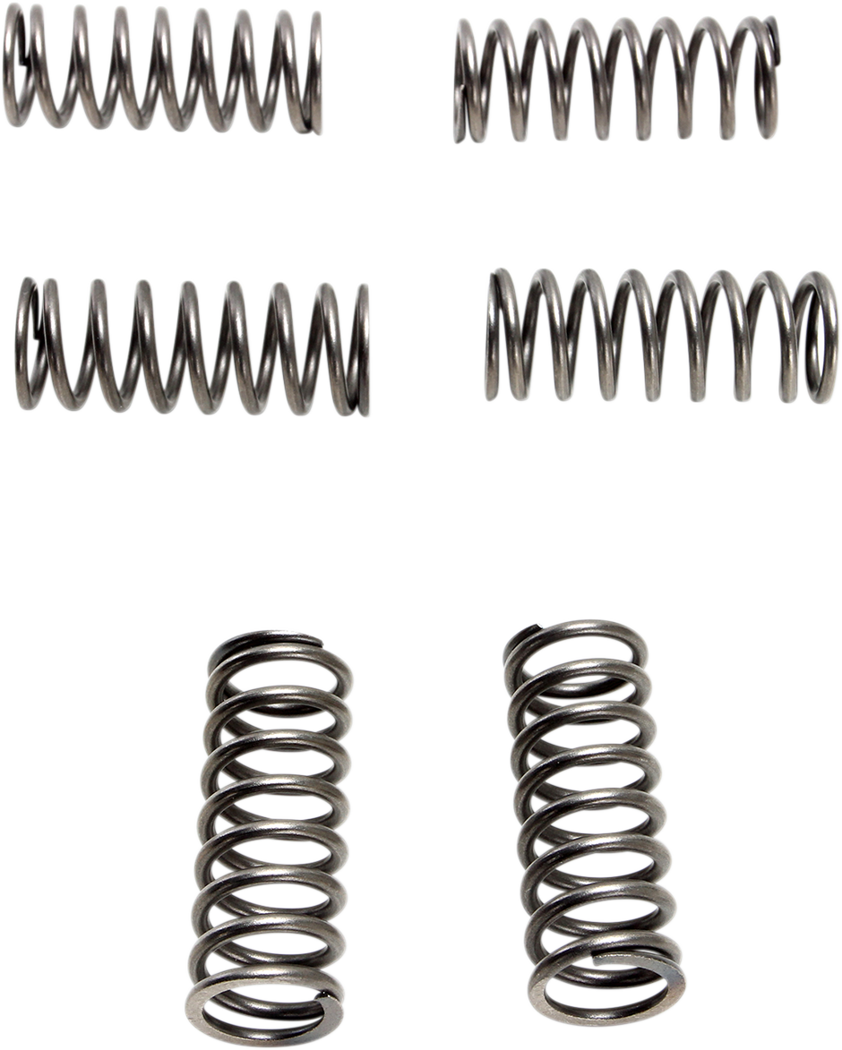 Clutch Springs - 6 pcs. 1990 - 1997