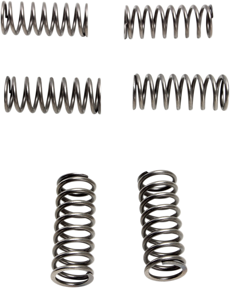 Clutch Springs - 6 pcs. 1990 - 1997