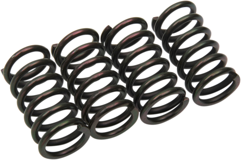 Clutch Springs 1979 - 2022