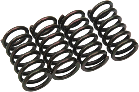 Clutch Springs 1979 - 2022