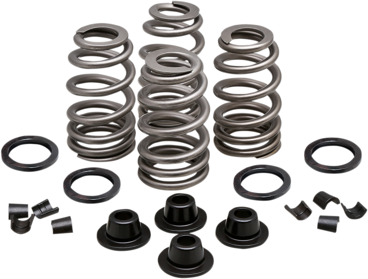 Spring Kit - .660\" - Evolution/Twin Cam 1986 - 2003