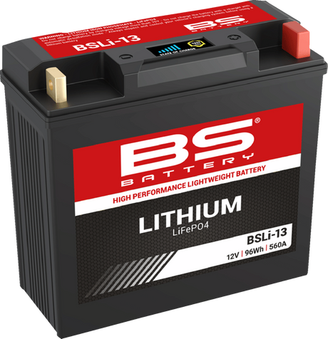 Lithium Battery - BSLi-13 1969 - 2021