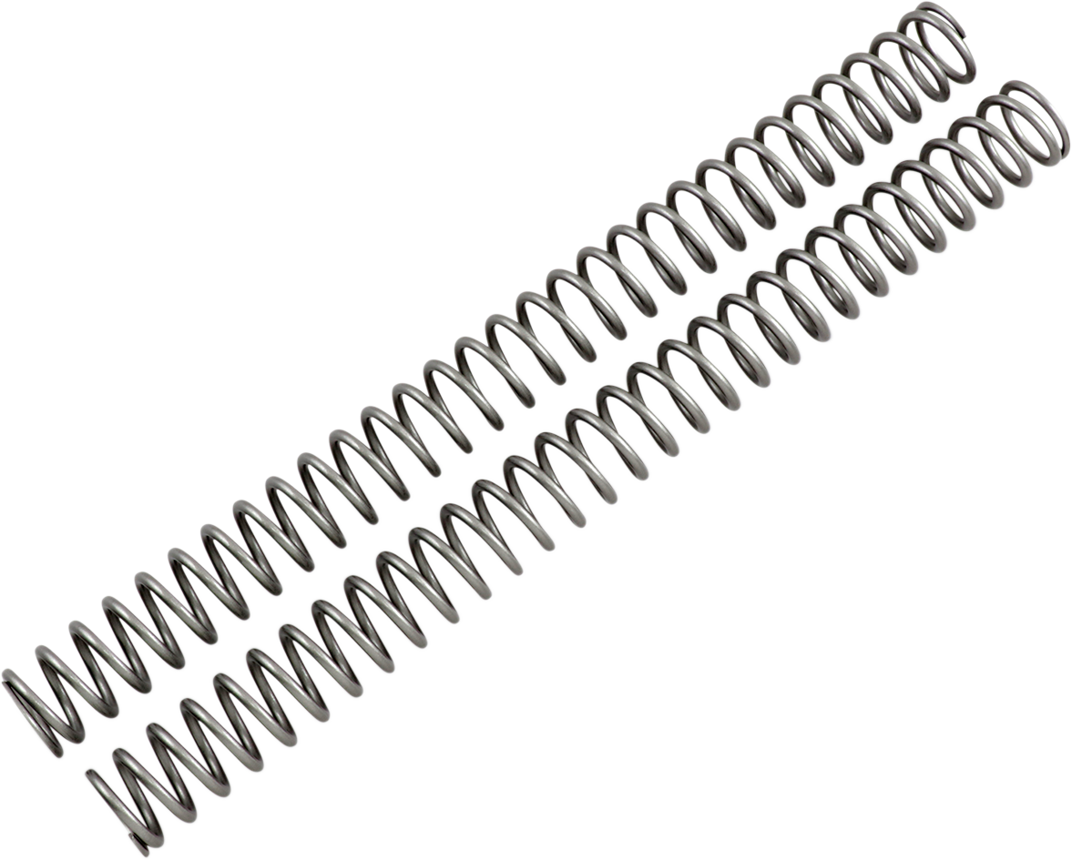 Fork Springs - 0.49 kg/mm 2004 - 2019