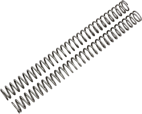 Fork Springs - 0.49 kg/mm 2004 - 2019