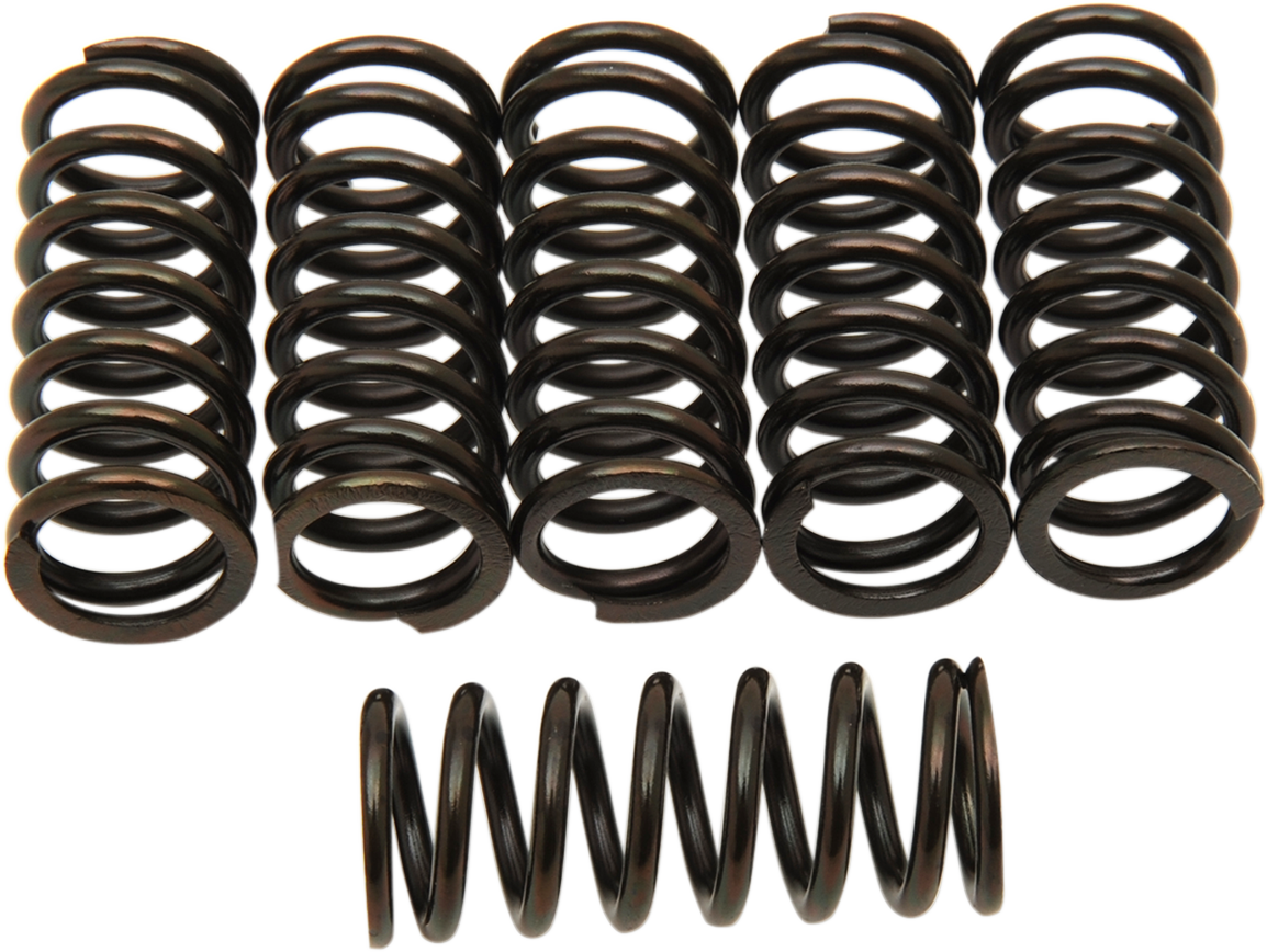 Clutch Springs 1976 - 2001