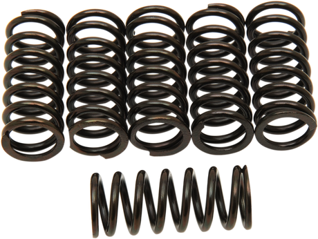 Clutch Springs 1976 - 2001