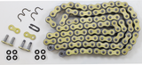 520 R4 - ATV Z-Ring Chain - 100 Links 1986 - 2013