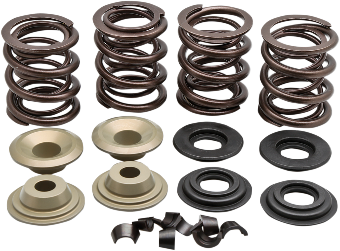 Valve Spring Kit 1979 - 1984