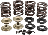 Valve Spring Kit 1979 - 1984