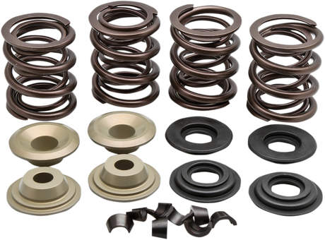 Valve Spring Kit 1979 - 1984