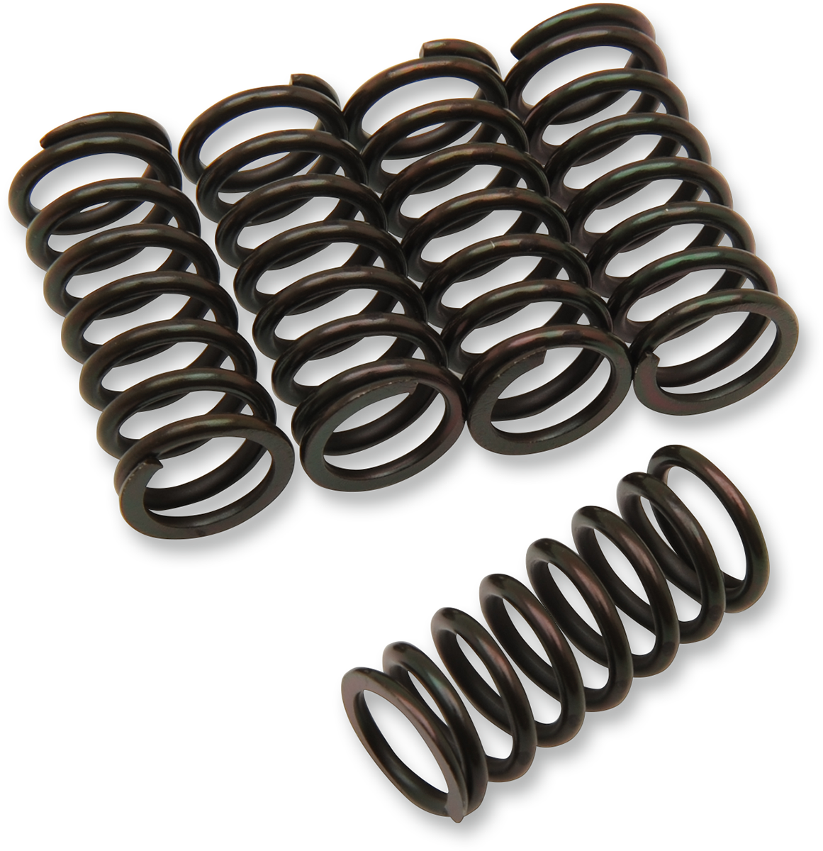 Clutch Spring Kit 1974 - 2023