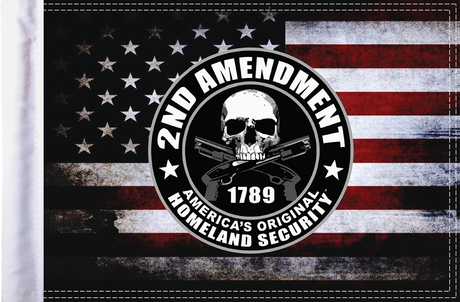 2nd Amendment Homeland Security Flag - 10\" x 15\"