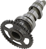 Camshaft 2004 - 2009