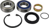 Chain Case Bearing and Seal Kit 2005 - 2021