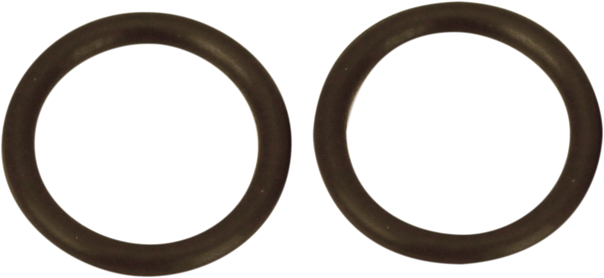 Viton O-Ring