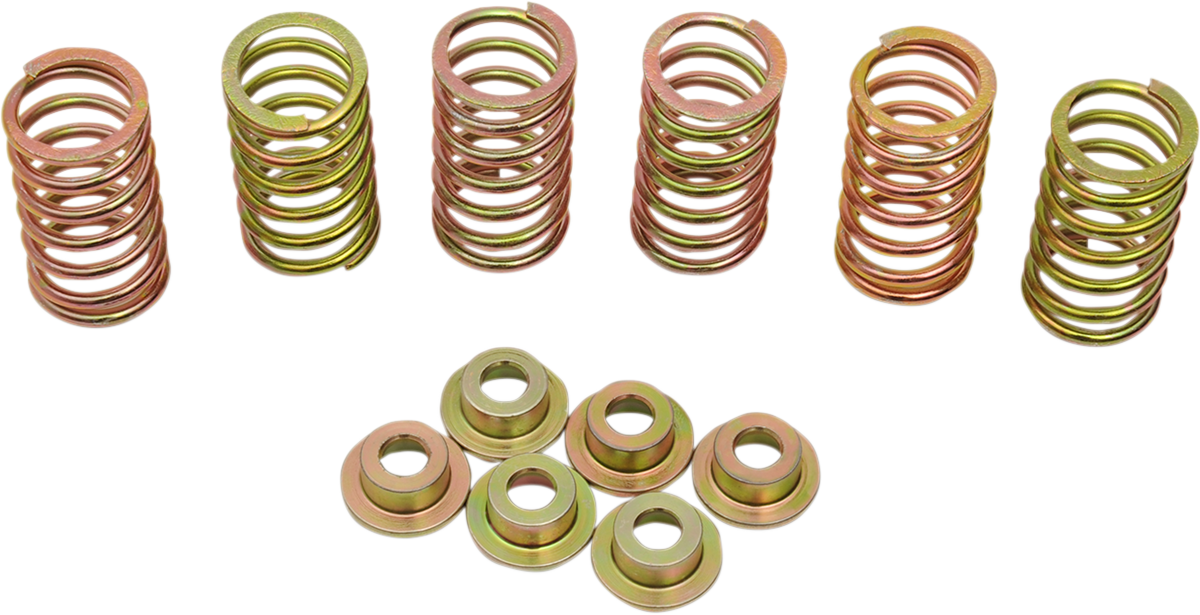 Clutch Spring Kit 1981 - 2009