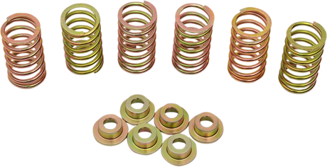 Clutch Spring Kit 1981 - 2009