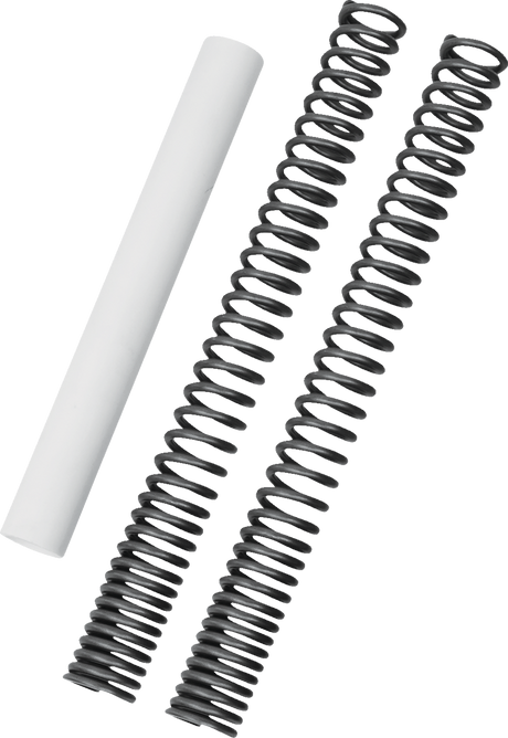 Fork Spring Kit 2021 - 2023