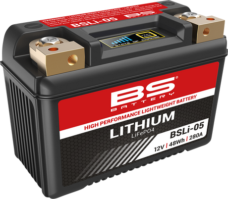 Lithium Battery - BSLi-05 1969 - 2021