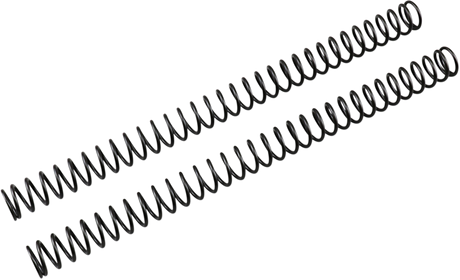 Front Fork Springs - 0.31 kg/mm 1992 - 2023