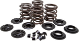 Valve Spring Kit 1966 - 1979