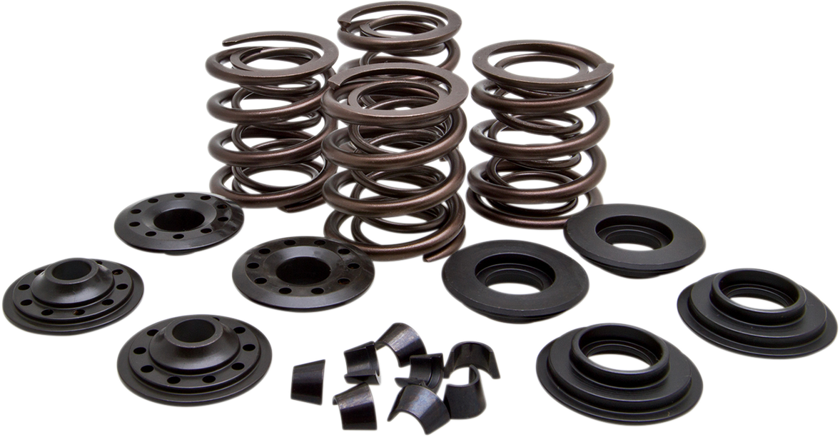 Valve Spring Kit 1966 - 1979