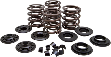 Valve Spring Kit 1966 - 1979