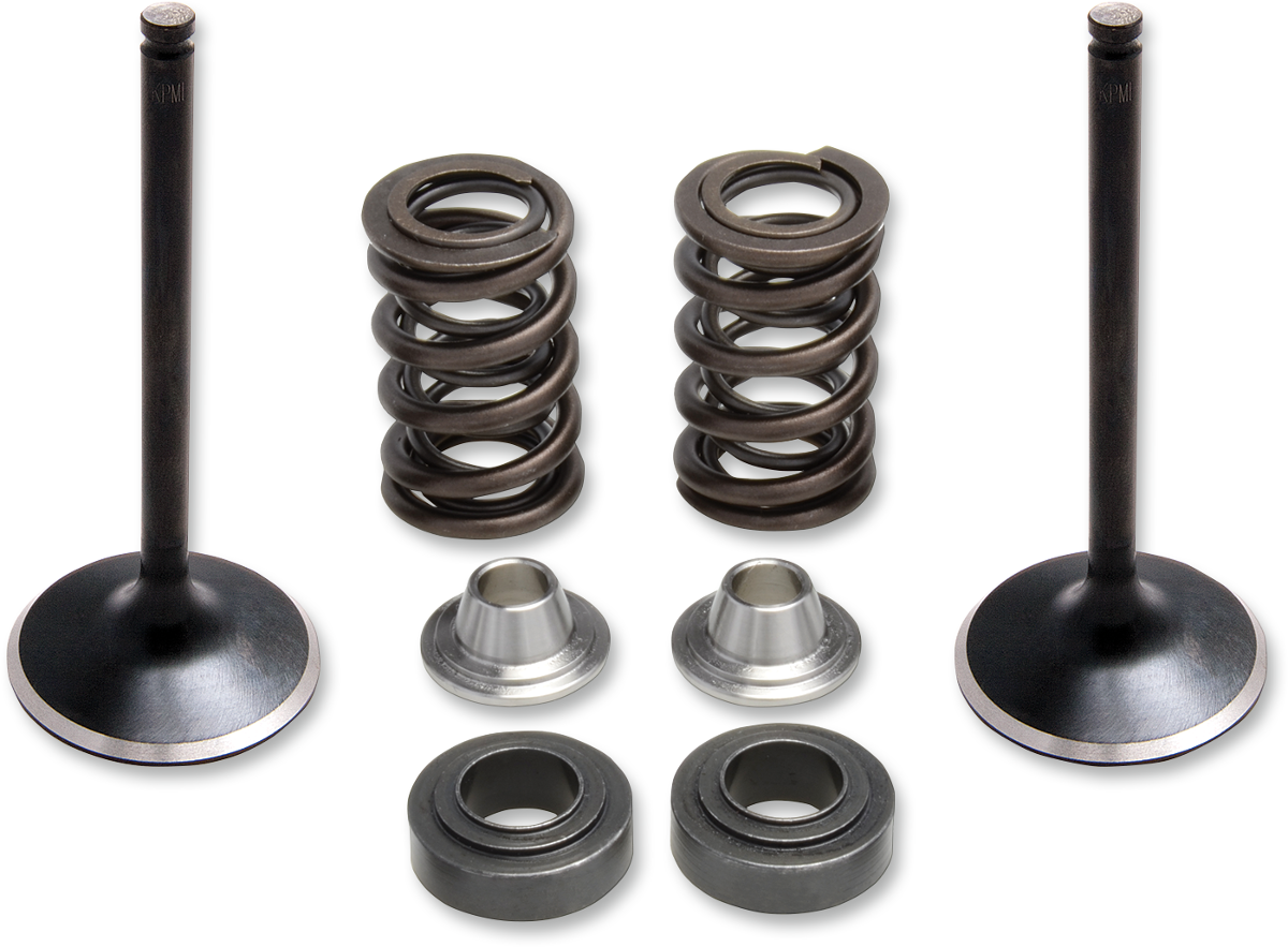 Valve Spring Kit 2014 - 2020