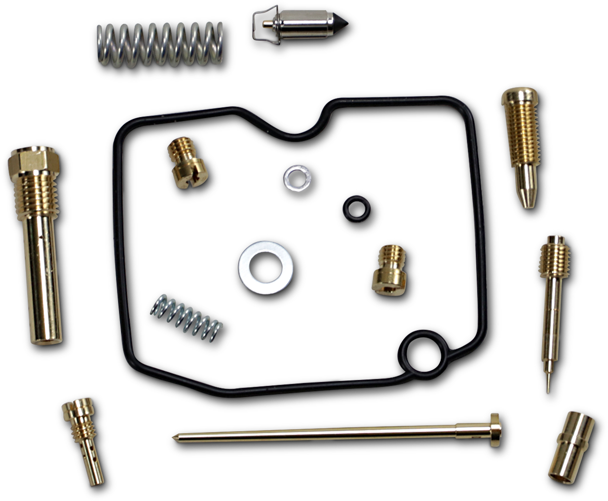 Carburetor Repair Kit - Arctic Cat 2008 - 2009