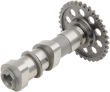 Camshaft 2000 - 2016