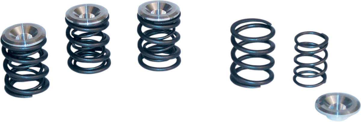 Valve Spring Kit - Big Twin 1949 - 1984