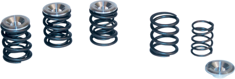 Valve Spring Kit - Big Twin 1949 - 1984